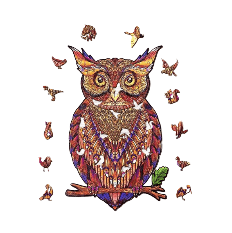 Magic owl puzzle